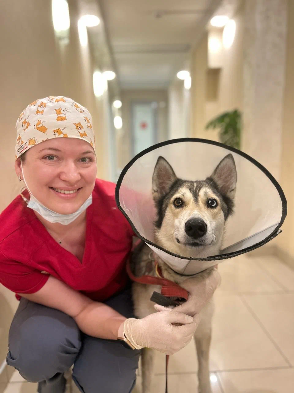 Наша команда